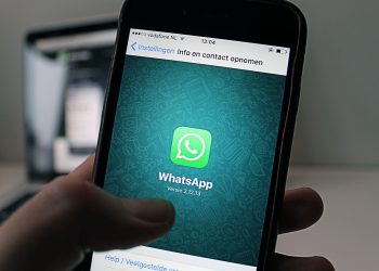 Configurar WhatsApp Business para iniciantes-pixabay