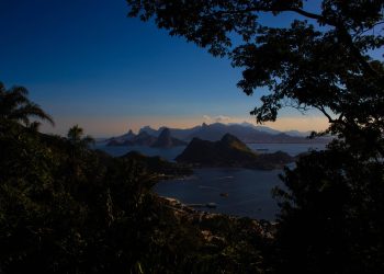 casos de sucesso WhatsApp Brasil