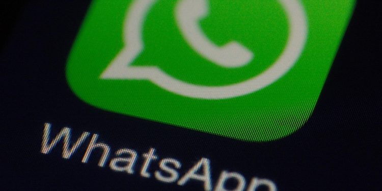 chatbot whatsapp para empresas